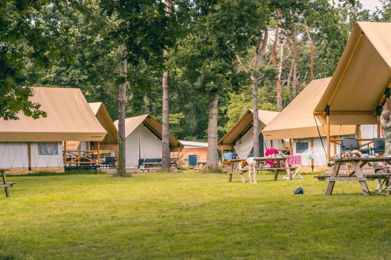 Europarcs Reestervallei IJhorst Екстериор снимка